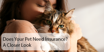 Does Your Pet Need Insurance? A Closer Look